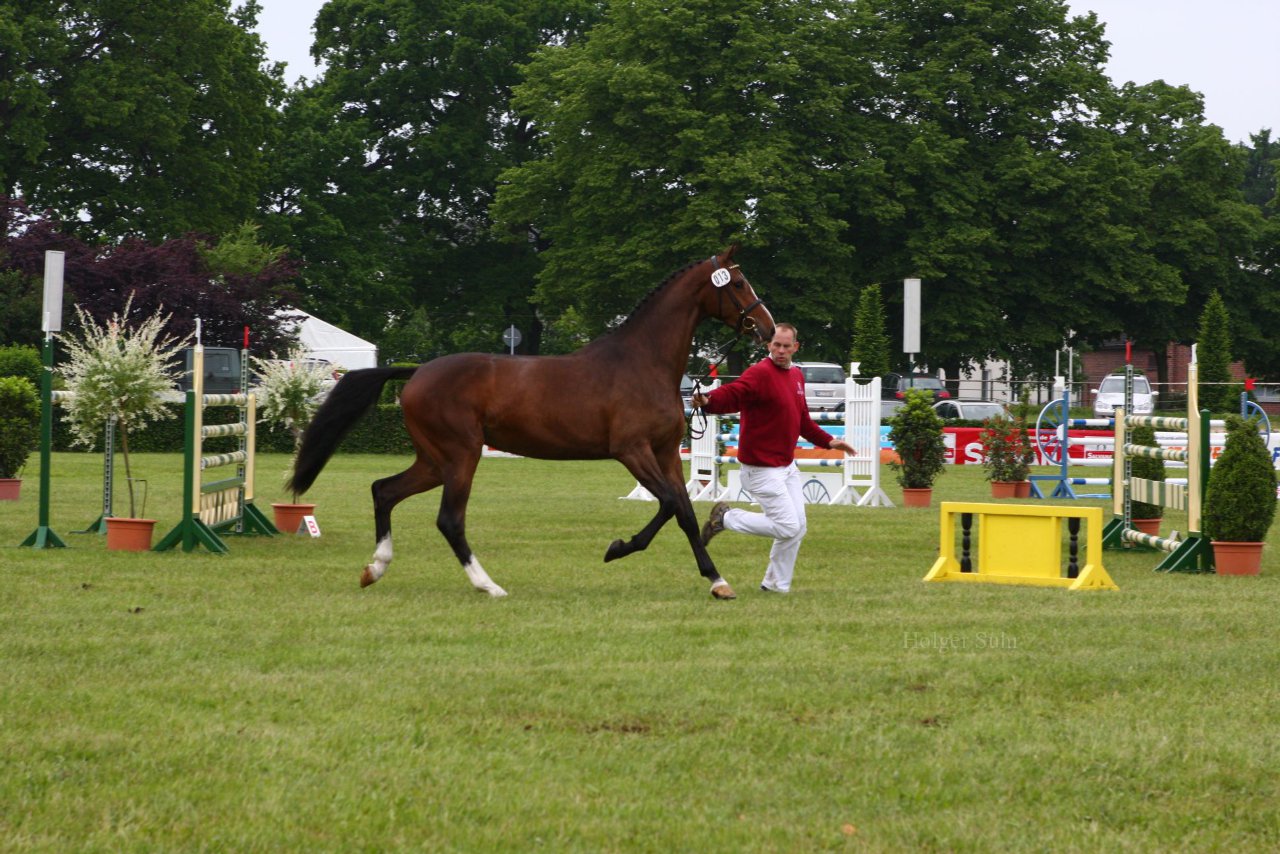 Bild 51 - Elmshorn am 9.6.10